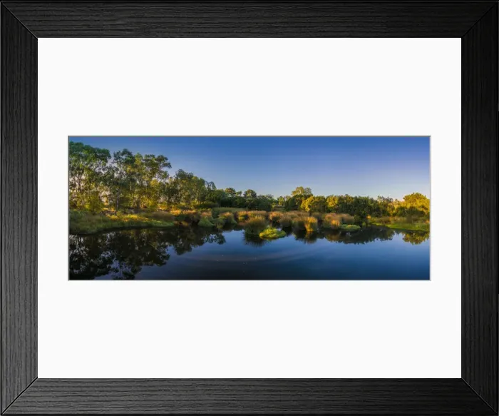 Framed Print : The lovely wetlands at Hidden Grove, Keysborough South, Melbourne, Victoria, Australia Framed Print : The lovely wetlands at Hidden Grove, Keysborough South, Melbourne, Victoria, Australia