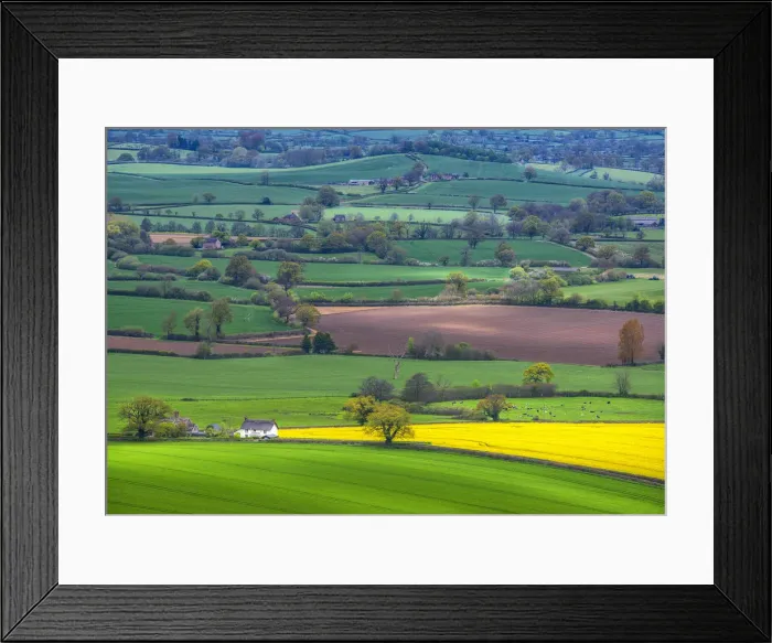 Framed Print : Farmland and agriculture near Hambleton Hill, Dorset, England, United Kingdom Framed Print : Farmland and agriculture near Hambleton Hill, Dorset, England, United Kingdom