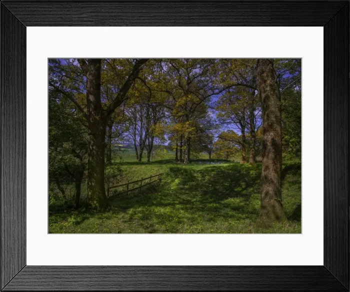 Framed Print : Countryside view at Badbury Rings, Dorset, England, United Kingdom