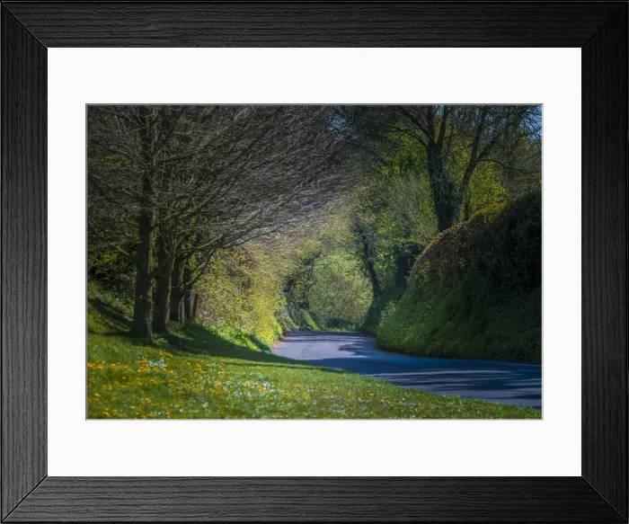 Framed Print : Country road at Cerne Abbas, Dorset, England, United Kingdom Framed Print : Country road at Cerne Abbas, Dorset, England, United Kingdom