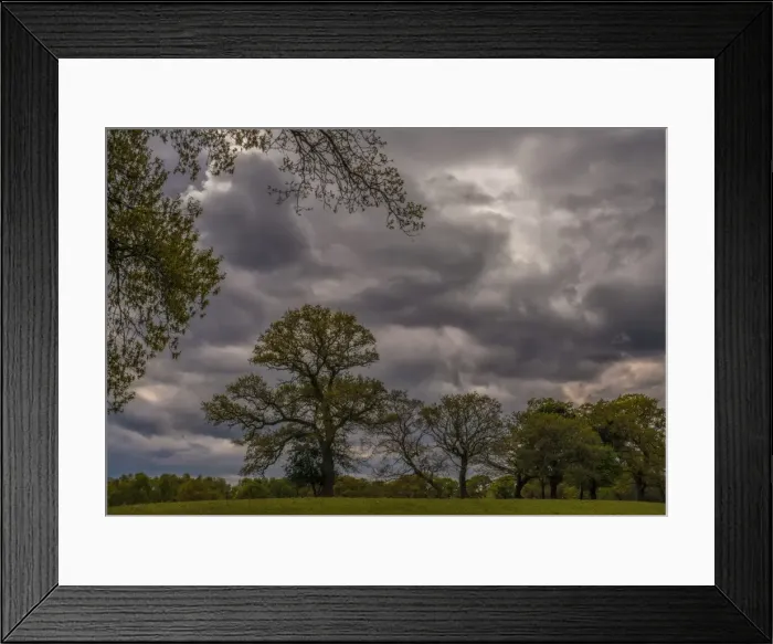 Framed Print : Wildlife and recreational reserve of Arne, the Isle of Purbeck, Dorset, England, United Kingdom