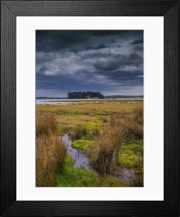 Framed Print : Wildlife and recreational reserve of Arne, the Isle of Purbeck, Dorset, England, United Kingdom Framed Print : Wildlife and recreational reserve of Arne, the Isle of Purbeck, Dorset, England, United Kingdom