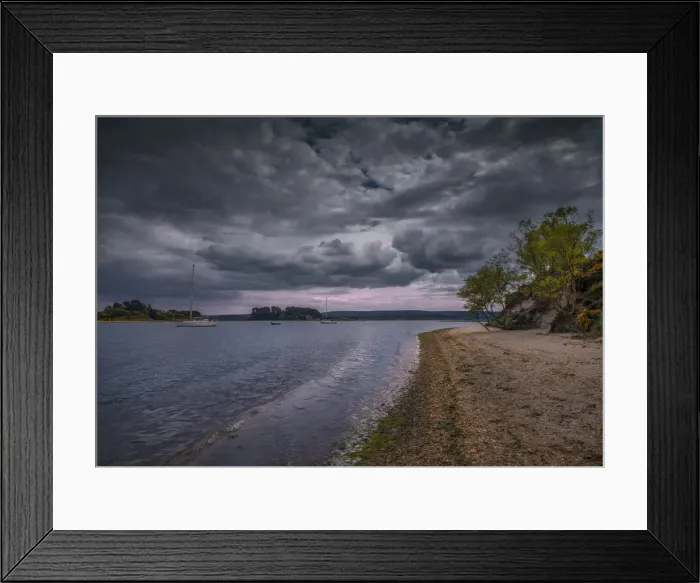 Framed Print : Wildlife and recreational reserve of Arne, the Isle of Purbeck, Dorset, England, United Kingdom