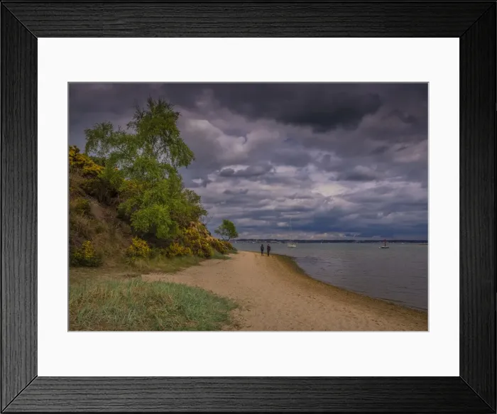 Framed Print : Wildlife and recreational reserve of Arne, the Isle of Purbeck, Dorset, England, United Kingdom Framed Print : Wildlife and recreational reserve of Arne, the Isle of Purbeck, Dorset, England, United Kingdom