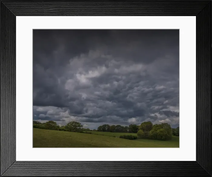 Framed Print : Wildlife and recreational reserve of Arne, the Isle of Purbeck, Dorset, England, United Kingdom