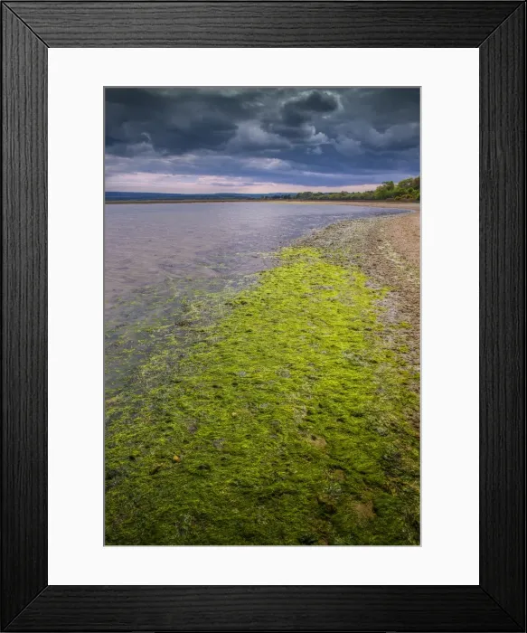 Framed Print : Wildlife and recreational reserve of Arne, the Isle of Purbeck, Dorset, England, United Kingdom