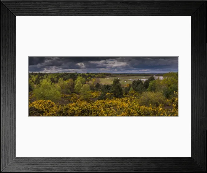 Framed Print : Wildlife and recreational reserve of Arne, the Isle of Purbeck, Dorset, England, United Kingdom Framed Print : Wildlife and recreational reserve of Arne, the Isle of Purbeck, Dorset, England, United Kingdom