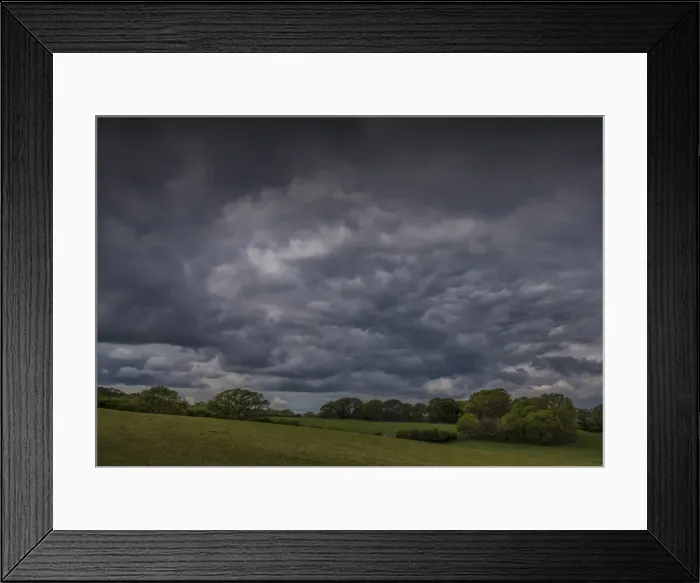 Framed Print : Wildlife and recreational reserve of Arne, the Isle of Purbeck, Dorset, England, United Kingdom
