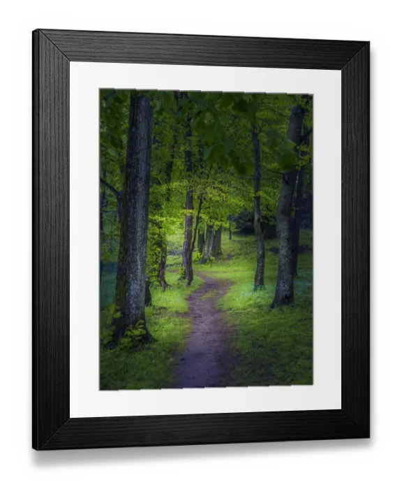 Framed Print : Spring-time in the forests near the city of Linz, Upper Austria