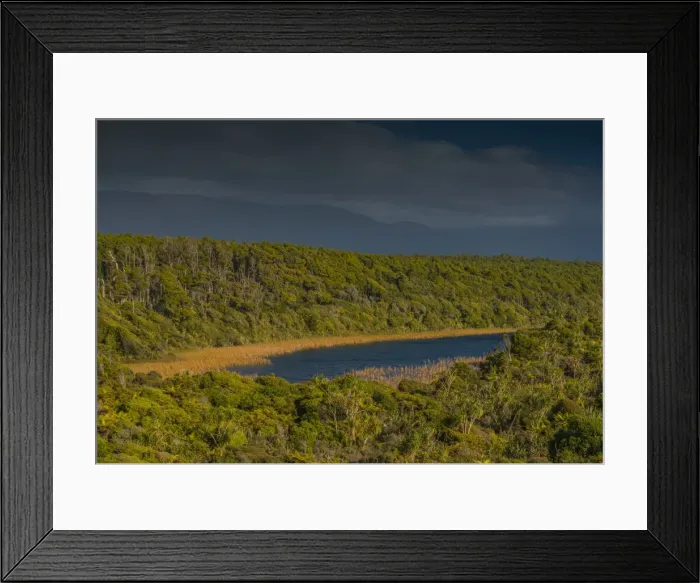 Framed Print : West coastline at Ship Creek, south Island, New Zealand Framed Print : West coastline at Ship Creek, south Island, New Zealand