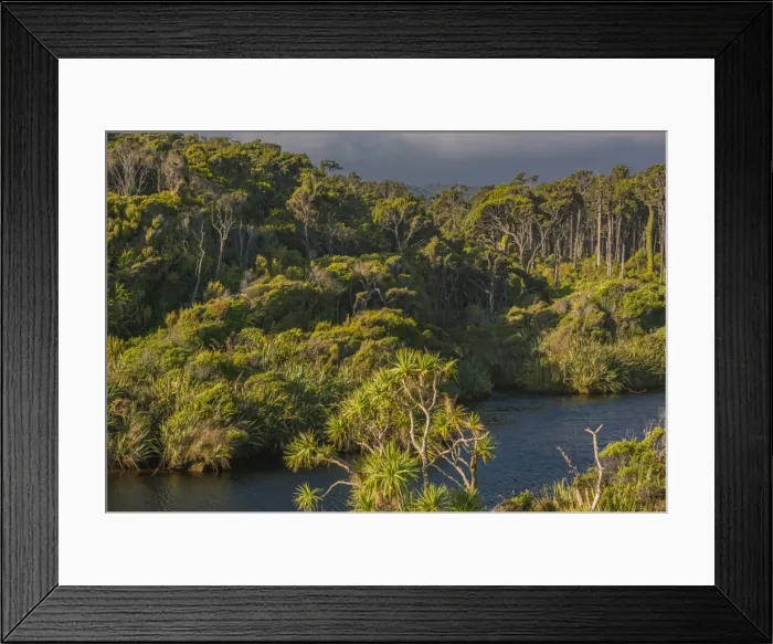 Framed Print : West coastline at Ship Creek, south Island, New Zealand Framed Print : West coastline at Ship Creek, south Island, New Zealand