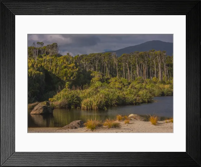 Framed Print : West coastline at Ship Creek, south Island, New Zealand Framed Print : West coastline at Ship Creek, south Island, New Zealand