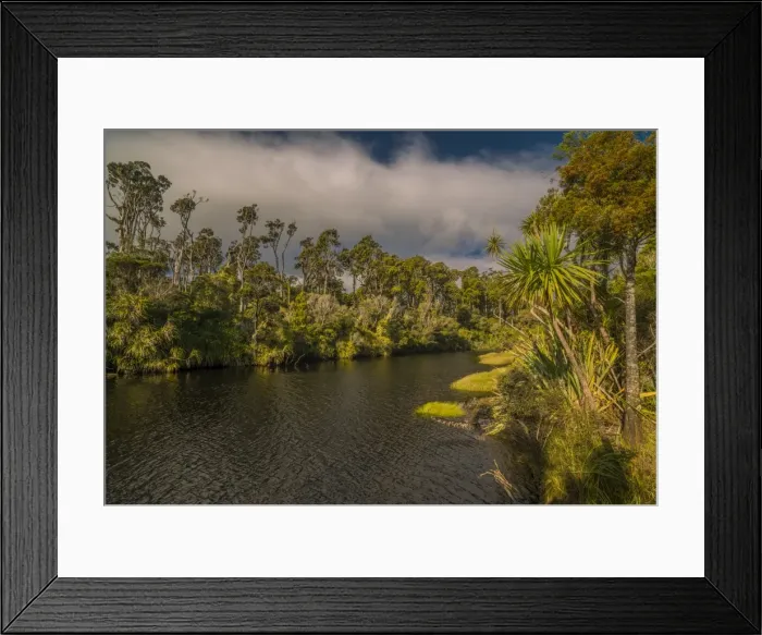 Framed Print : West coastline at Ship Creek, south Island, New Zealand Framed Print : West coastline at Ship Creek, south Island, New Zealand