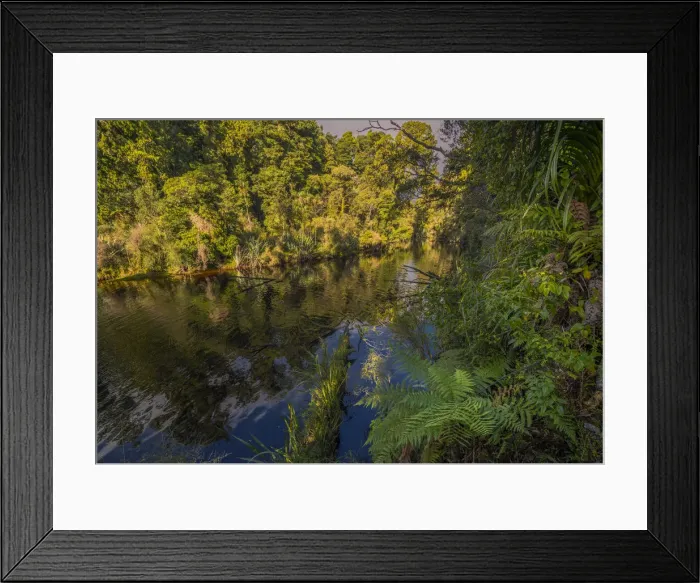 Framed Print : Pristine rainforest on the west coastline at Ship Creek, south Island, New Zealand Framed Print : Pristine rainforest on the west coastline at Ship Creek, south Island, New Zealand