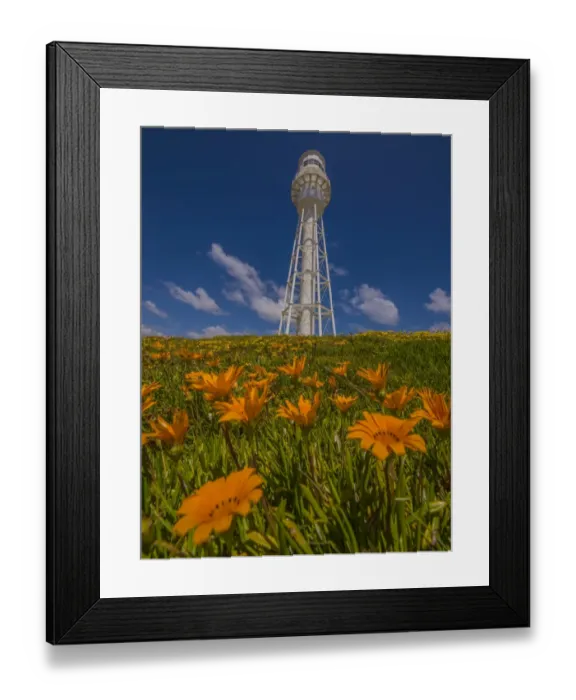 Framed Print : Currie Lighthouse with summer flowers in bloom, King Island, Bass Strait Tasmania, Australia Framed Print : Currie Lighthouse with summer flowers in bloom, King Island, Bass Strait Tasmania, Australia