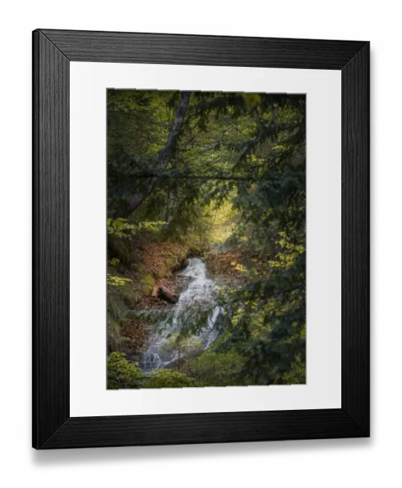 Framed Print : Woodlands, Neuschwantein, Bavaria, Germany Framed Print : Woodlands, Neuschwantein, Bavaria, Germany