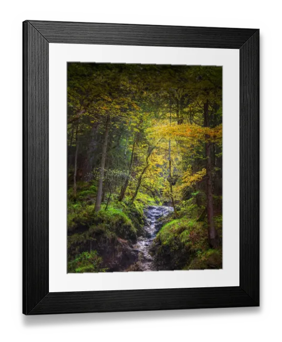 Framed Print : Woodlands, Neuschwantein, Bavaria, Germany Framed Print : Woodlands, Neuschwantein, Bavaria, Germany
