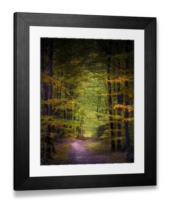 Framed Print : Woodlands, Neuschwantein, Bavaria, Germany Framed Print : Woodlands, Neuschwantein, Bavaria, Germany