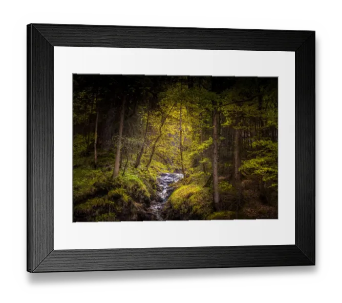 Framed Print : Woodlands, Neuschwantein, Bavaria, Germany Framed Print : Woodlands, Neuschwantein, Bavaria, Germany