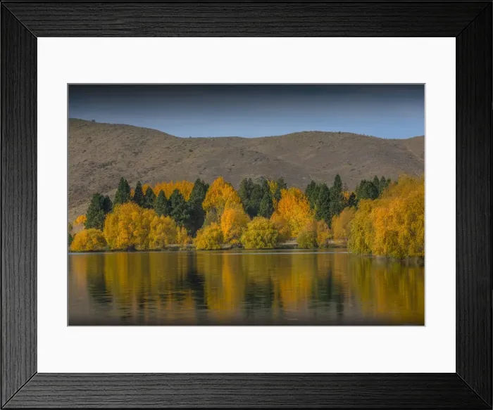 Framed Print : Autumn colours on lake Twizel, south island, New Zealand Framed Print : Autumn colours on lake Twizel, south island, New Zealand