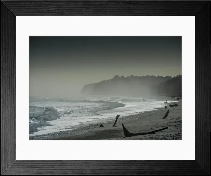 Framed Print : Bruce bay on the west coast of the south island, New Zealand Framed Print : Bruce bay on the west coast of the south island, New Zealand