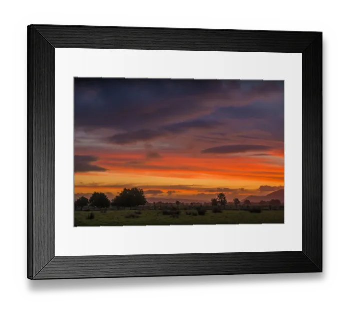 Framed Print : The west coast of the south island near Fox glacier, New Zealand