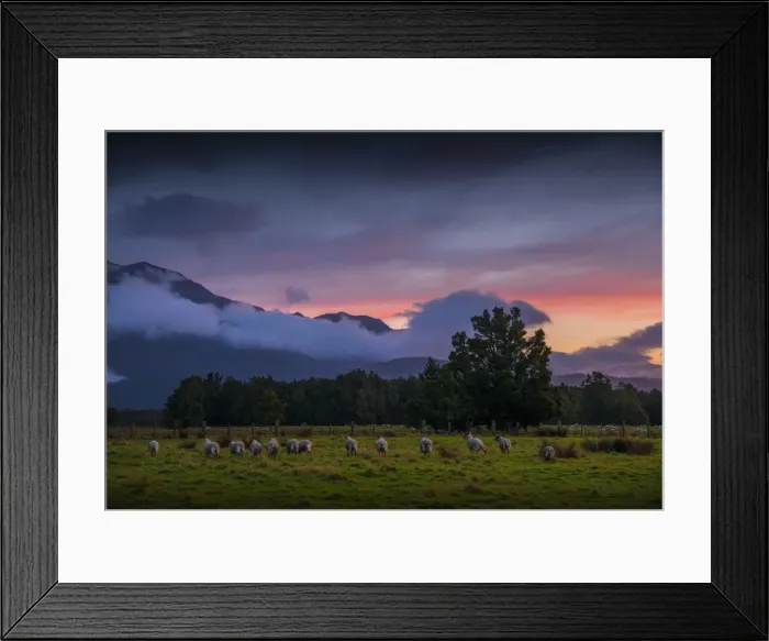 Framed Print : The west coast of the south island near Fox glacier, New Zealand