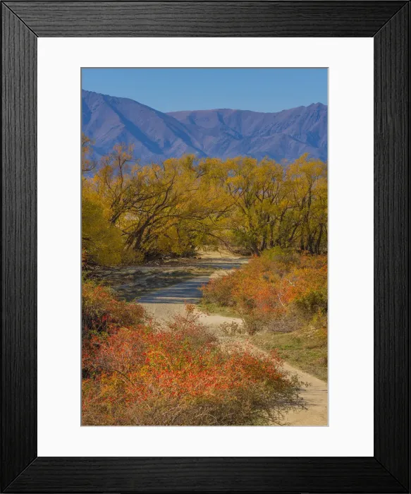 Framed Print : Autumn at the clay cliffs, Omarama, south Island of New Zealand Framed Print : Autumn at the clay cliffs, Omarama, south Island of New Zealand