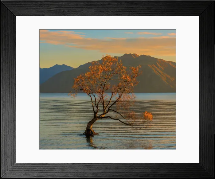 Framed Print : Autumn colours at Lake Wanaka, south Island of New Zealand Framed Print : Autumn colours at Lake Wanaka, south Island of New Zealand