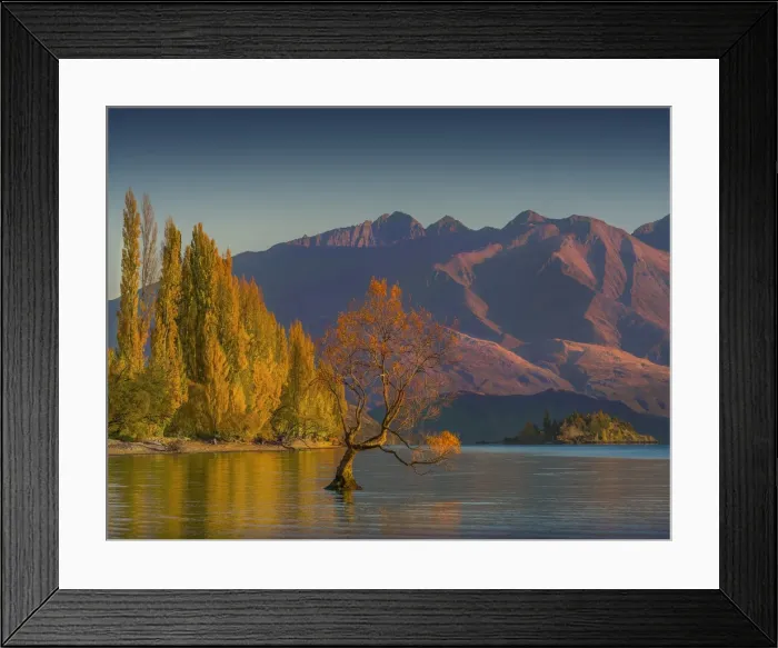 Framed Print : Autumn colours at Lake Wanaka, south Island of New Zealand
