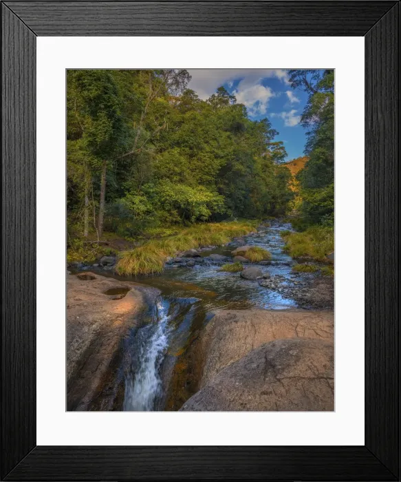 Framed Print : Killarny Glen rainforest, Hinterland of southern Queensland, Australia