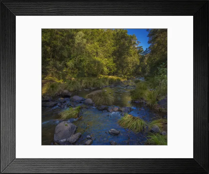 Framed Print : Killarny Glen rainforest, Hinterland of southern Queensland