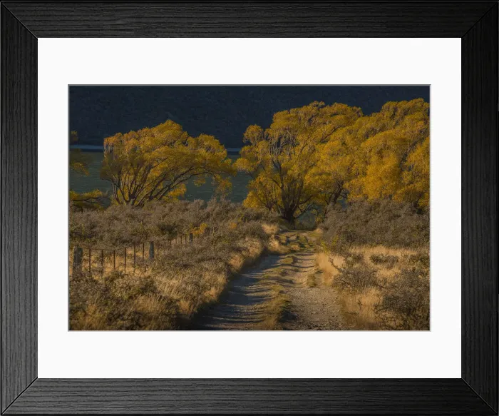 Framed Print : Autumn colours at Lake Pearson, South Island of New Zealand