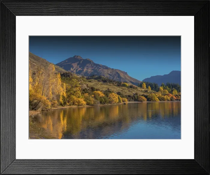 Framed Print : Autumn colours around Glendhu bay, near lake Wanaka, South Island of New Zealand