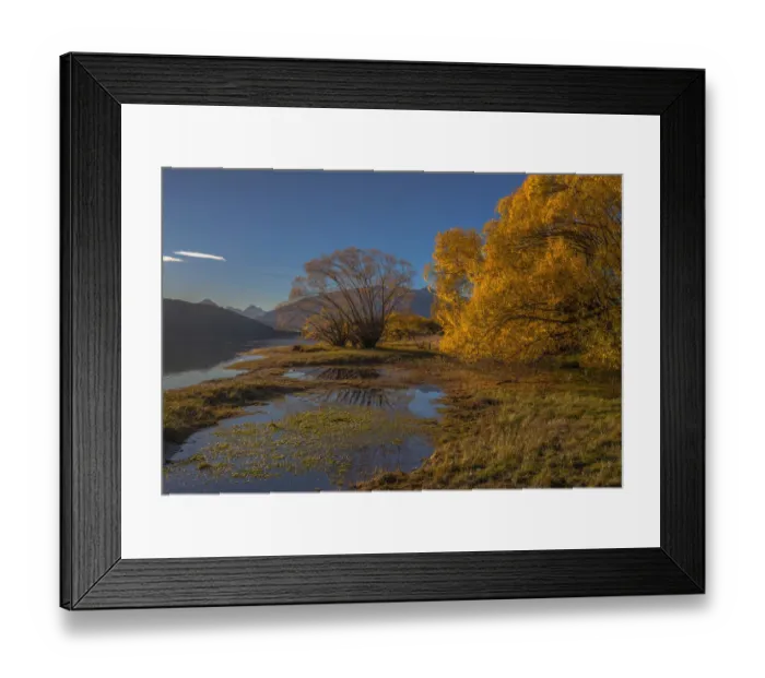 Framed Print : Autumn colours around Glendhu bay, near lake Wanaka, South Island of New Zealand
