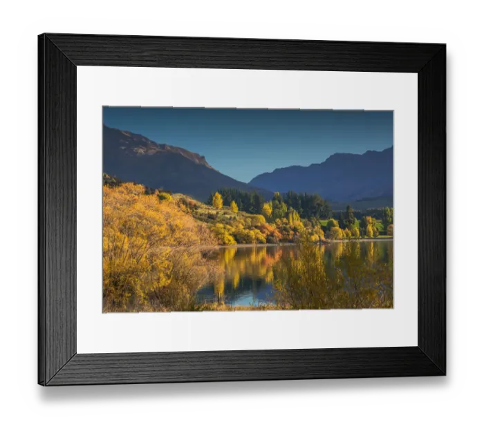 Framed Print : Autumn colours around Glendhu bay, near lake Wanaka, South Island of New Zealand