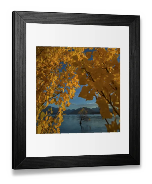 Framed Print : Autumn at Wanaka lake, South Island of New Zealand Framed Print : Autumn at Wanaka lake, South Island of New Zealand