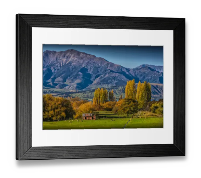 Framed Print : Autumn colours around Glendhu bay, near lake Wanaka, South Island of New Zealand