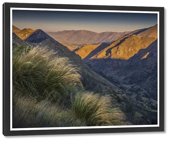 Dusk light at Castle hill, South Island of New Zealand