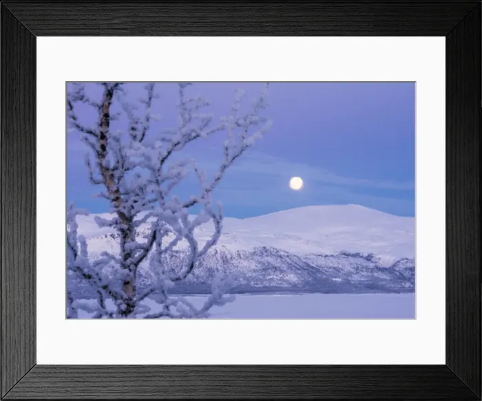 Framed Print : Evening light at Bjorkliden, Lapland, Sweden Framed Print : Evening light at Bjorkliden, Lapland, Sweden