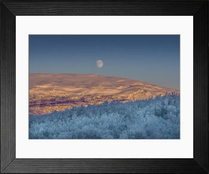Framed Print : Evening light at Bjorkliden, Lapland, Sweden