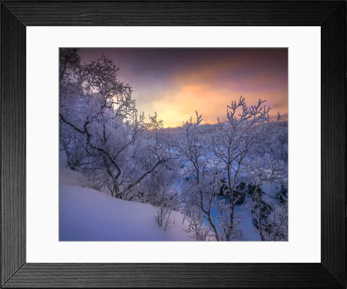 Framed Print : Dusk comes over a winter scene at Abisko National park in Lapland, Sweden