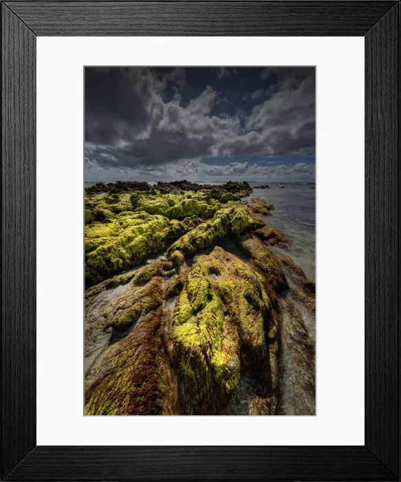 Framed Print : Seaweed on the coastline of King Island, Bass Strait, Tasmania, Australia