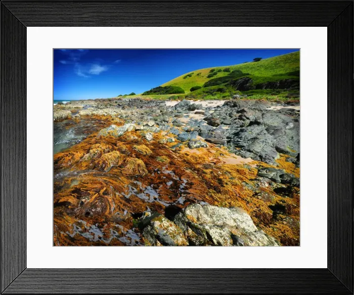 Framed Print : Rocky shoreline at Naracoopa, King Island Bass Strait, Tasmania, Australia Framed Print : Rocky shoreline at Naracoopa, King Island Bass Strait, Tasmania, Australia