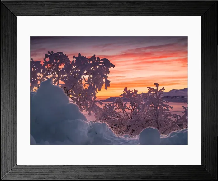 Framed Print : Dawn light sweeps across the landscape at Bjorkliden, Lapland, Sweden