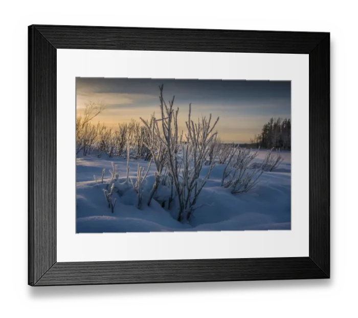 Framed Print : Approaching Dusk in winter at Lassbyn, Lapland, Sweden Framed Print : Approaching Dusk in winter at Lassbyn, Lapland, Sweden