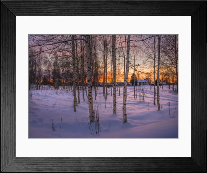 Framed Print : Approaching Dusk in winter at Lassbyn, Lapland, Sweden Framed Print : Approaching Dusk in winter at Lassbyn, Lapland, Sweden