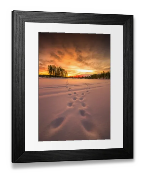 Framed Print : Winter scene on the coastline of the Baltic sea near Ranea, Lapland, Sweden Framed Print : Winter scene on the coastline of the Baltic sea near Ranea, Lapland, Sweden