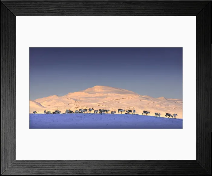 Framed Print : Southern Lightscapes Australia Collection Framed Print : Southern Lightscapes Australia Collection