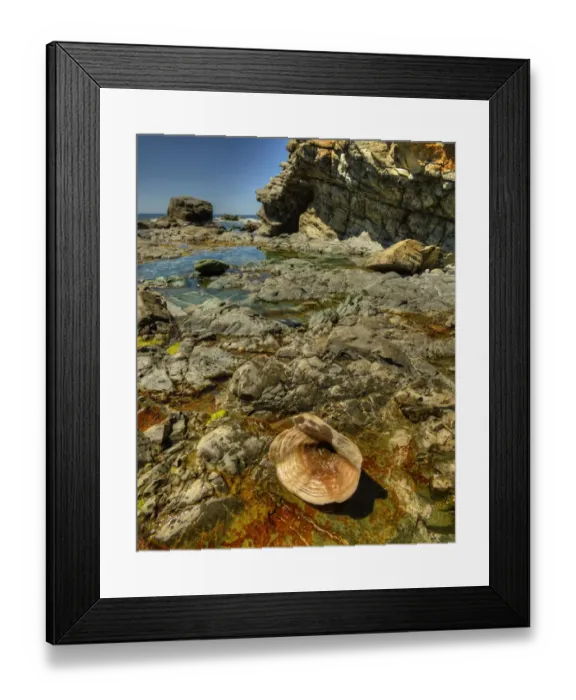 Framed Print : The coastline at Black Point on King Island, Bass Strait, Tasmania, Australia Framed Print : The coastline at Black Point on King Island, Bass Strait, Tasmania, Australia